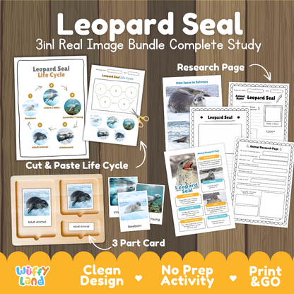 Leopard Seal 3-in-1 real image bundle complete study cover showing cut and paste life cycle, 3 part cards, and research pages
