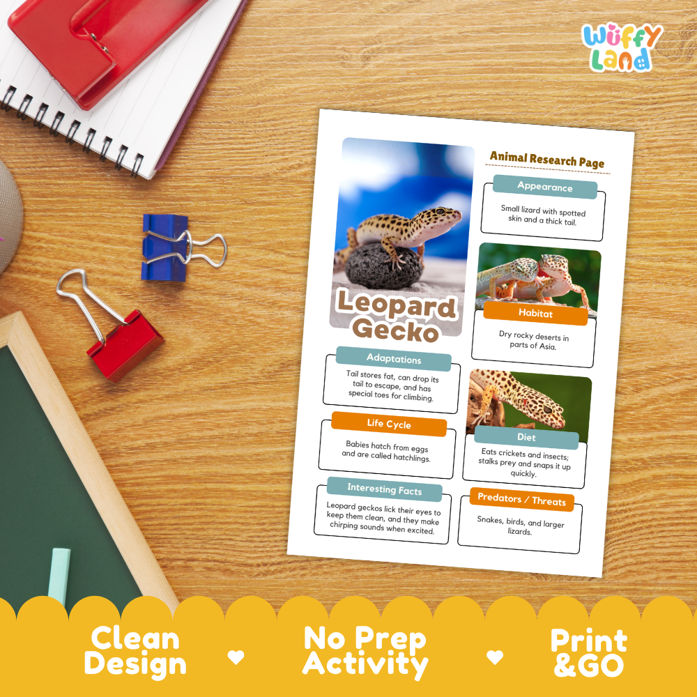 A printed educational activity sheet titled 'Leopard Gecko' with animal facts panels, photographed on a wooden desk with notebooks, binder clips, and a yellow promotional banner at the bottom. The sheet appears to be the product being sold rather than an auxiliary instruction graphic, so this is classified as Product/Packaging.