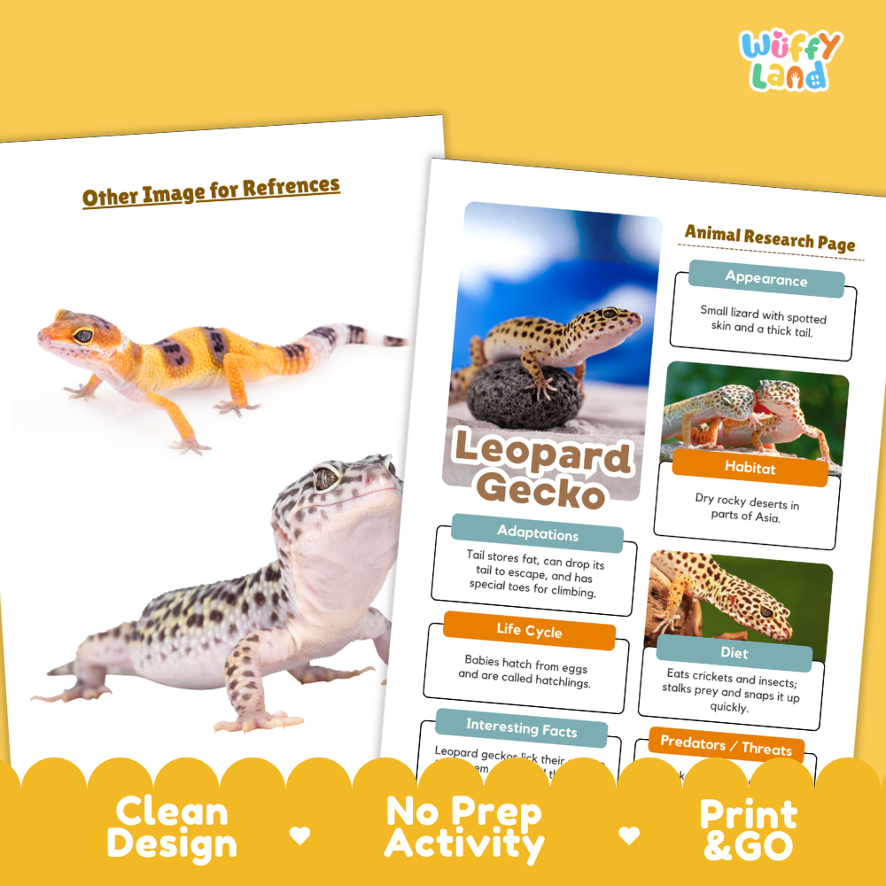 Two printed activity sheets for a leopard gecko research project are shown on a yellow background. One sheet has a reference image of a leopard gecko, and the other is an animal research page with text boxes about appearance, habitat, adaptations, life cycle, diet, and interesting facts.
