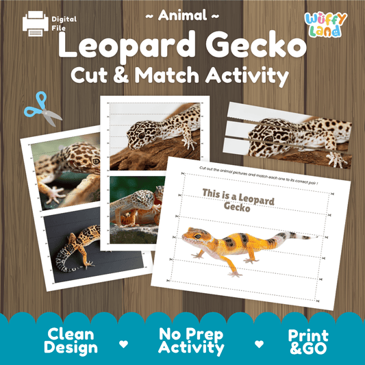 Leopard Gecko Cut and Match Activity Worksheets | Animal Puzzle Printables