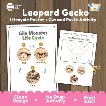 Leopard Gecko Life Cycle Poster and Cut and Paste Activity Worksheets