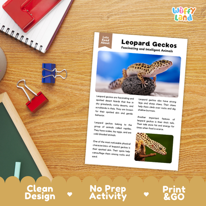 Leopard Gecko Reading Passage and Comprehension Questions with Answer Key Worksheets