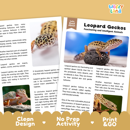 Leopard Gecko Reading Passage and Comprehension Questions with Answer Key Worksheets