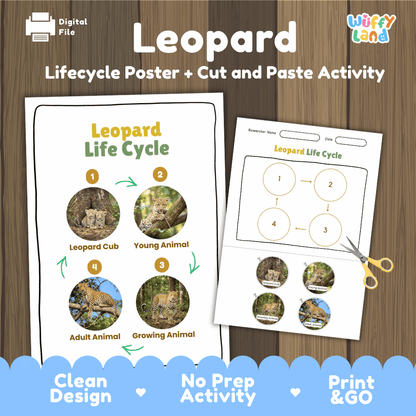 Leopard Life Cycle Poster and Cut and Paste Activity Worksheets