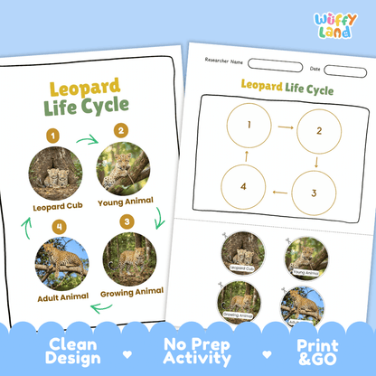 Leopard Life Cycle Poster and Cut and Paste Activity Worksheets