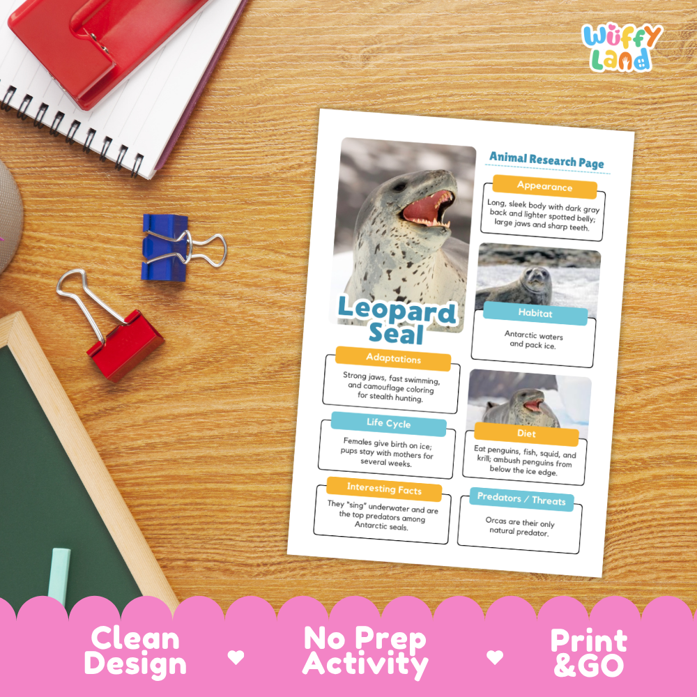 An educational activity sheet titled 'Leopard Seal' with text boxes, a seal photo, and printed on a white card, displayed on a wooden desk with school supplies. A pink banner at the bottom reads 'Clean Design', 'No Prep Activity', and 'Print & GO'.