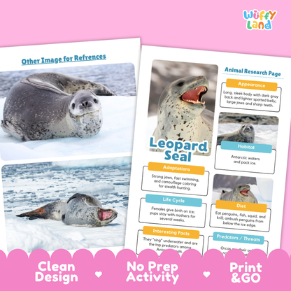 Two printed educational activity sheets for learning about leopard seals, displayed on a pink background with a decorative pink banner at the bottom. The sheets show photos of leopard seals, text sections like appearance, habitat, adaptations, life cycle, diet, and interesting facts, and the brand name 'Wiffy Land' in the top right.