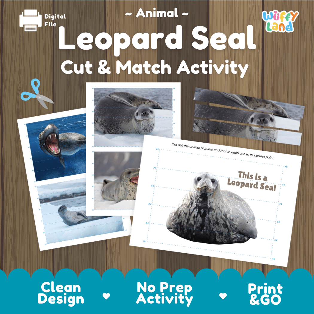 Leopard Seal Cut and Match Activity Printables Worksheets