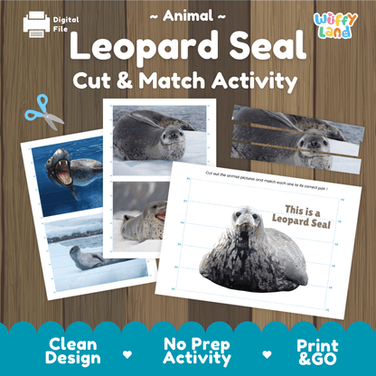 Leopard Seal Cut and Match Activity Printables Worksheets