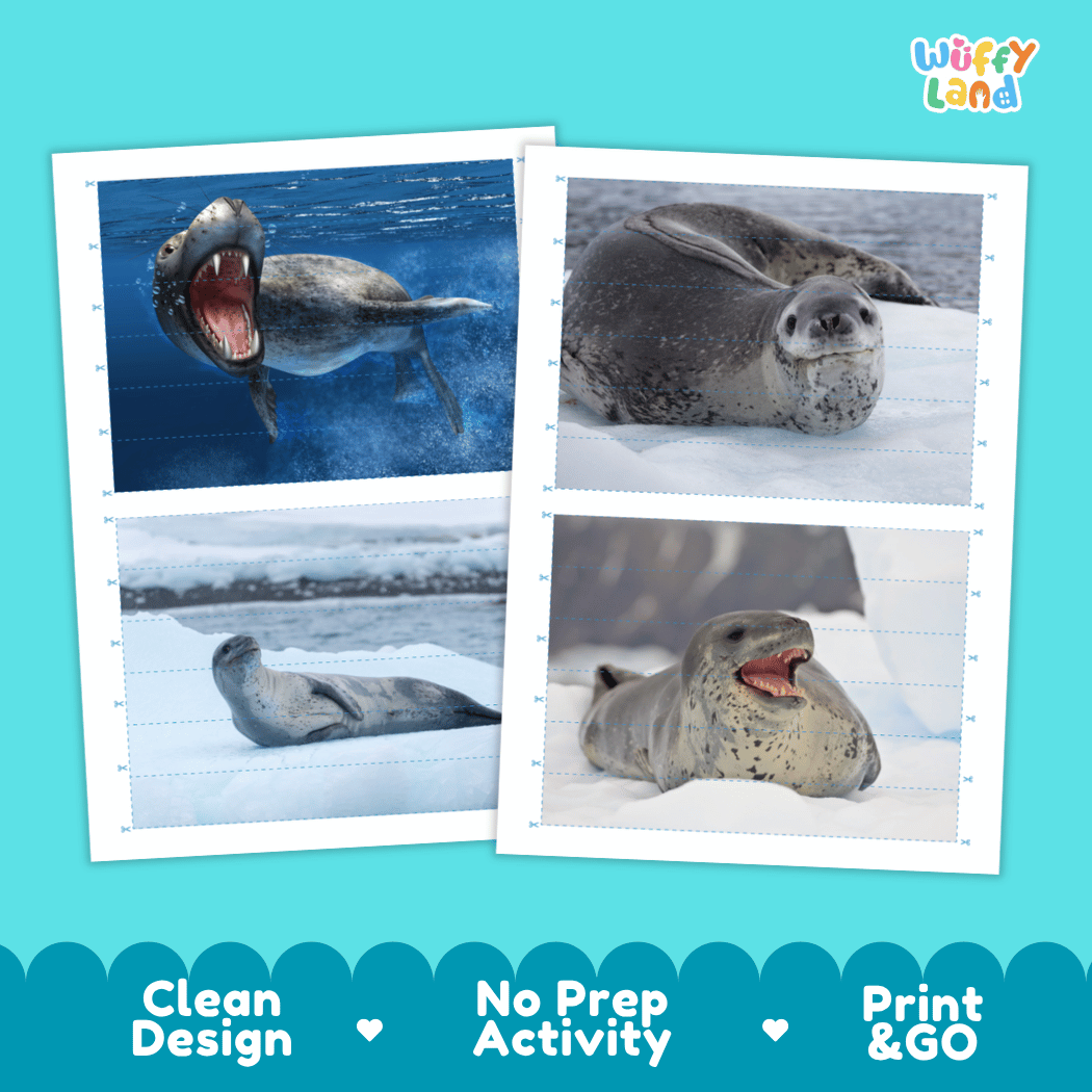 Leopard Seal Cut and Match Activity Printables Worksheets