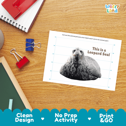 Leopard Seal Cut and Match Activity Printables Worksheets