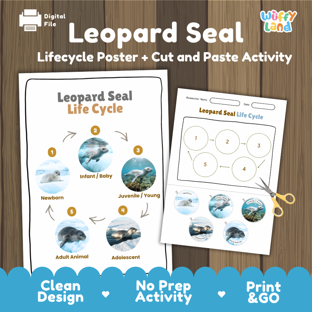 Leopard Seal Life Cycle Poster and Cut and Paste Worksheet Activity