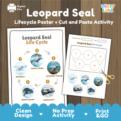 Leopard Seal Life Cycle Poster and Cut and Paste Worksheet Activity