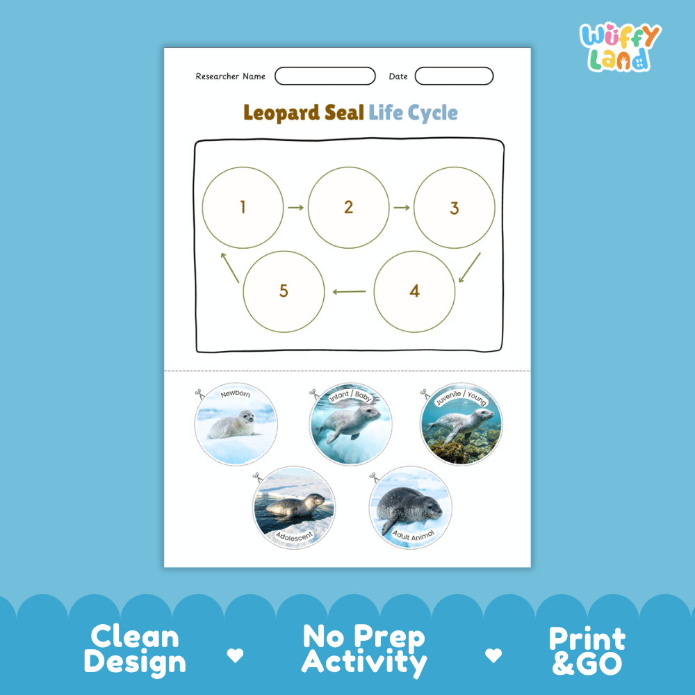 Leopard Seal Life Cycle Poster and Cut and Paste Worksheet Activity