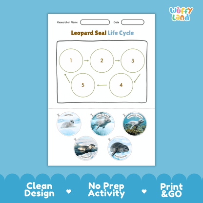 Leopard Seal Life Cycle Poster and Cut and Paste Worksheet Activity