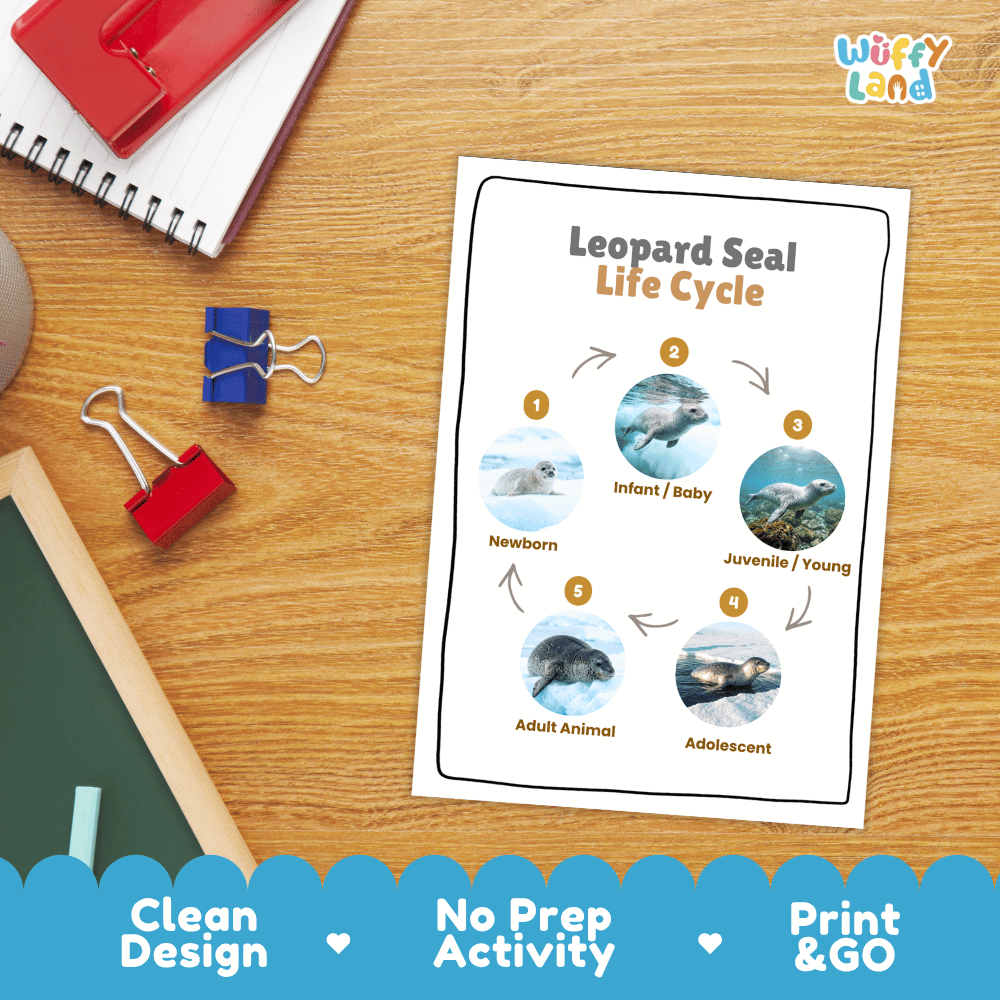 Leopard Seal Life Cycle Poster and Cut and Paste Worksheet Activity