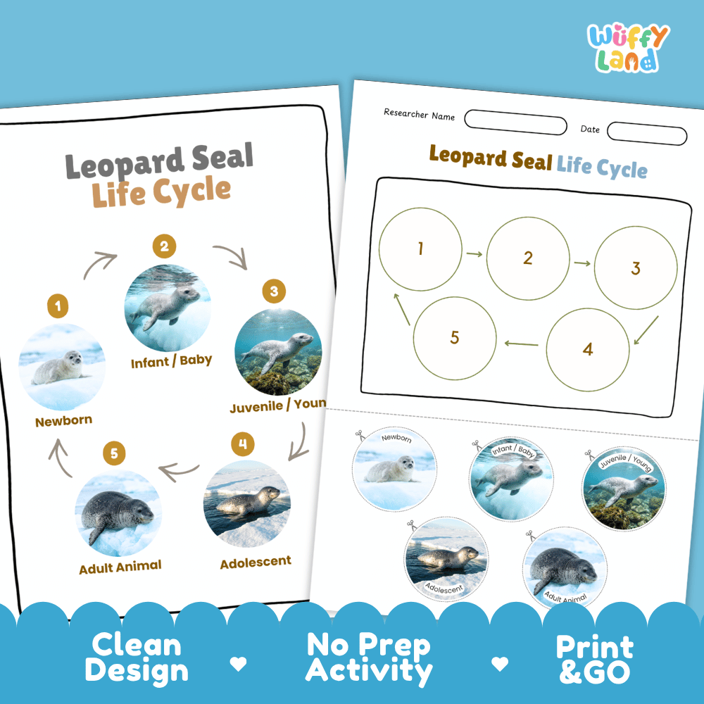 Leopard Seal Life Cycle Poster and Cut and Paste Worksheet Activity