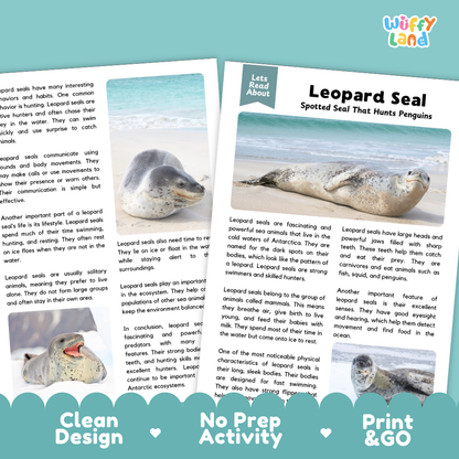Leopard Seals Reading Passage and Questions Worksheets with Answer Key