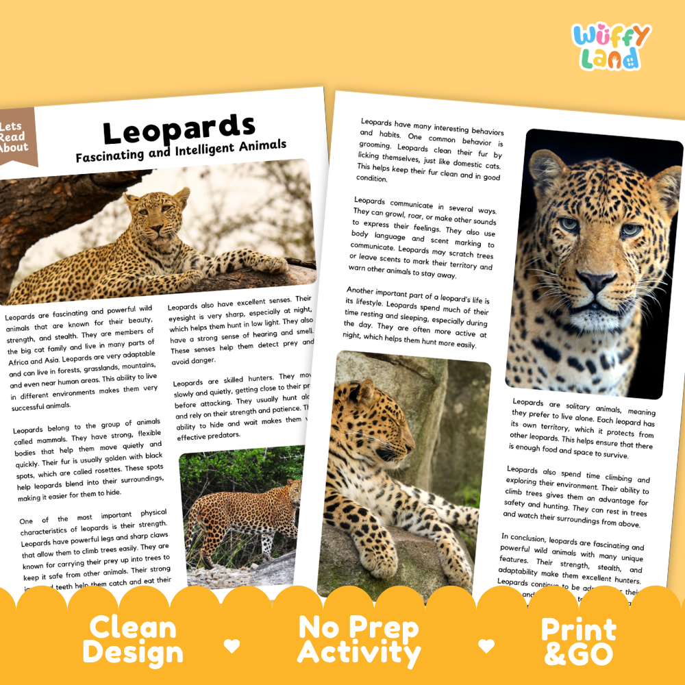 Leopards Reading Passage and Comprehension Questions Worksheets with Answer Key