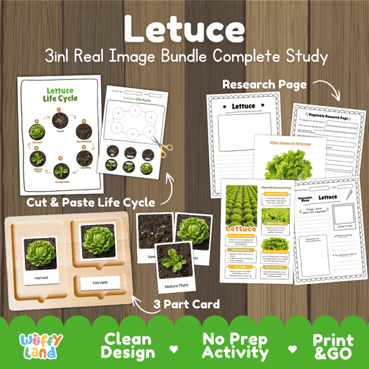 Lettuce 3in1 real image bundle complete study printable featuring life cycle cut and paste worksheets, Montessori 3-part cards, and research pages