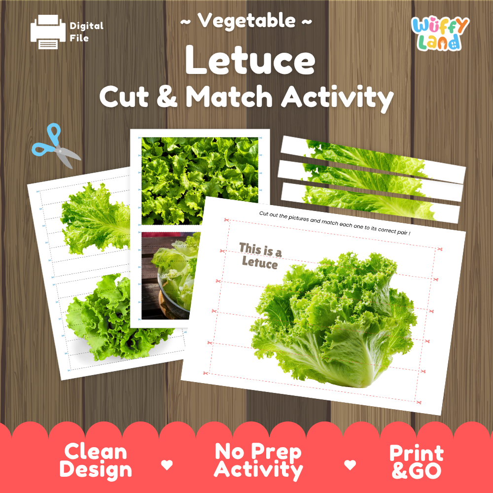 Lettuce cut and match activity cover showing printable fine motor puzzle sheets and vegetable photographs