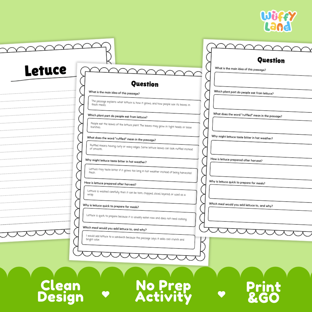 Informational reading passage page detailing lettuce plant anatomy leaf heads cool weather growing and sandwich uses with photos
