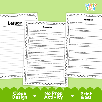 Informational reading passage page detailing lettuce plant anatomy leaf heads cool weather growing and sandwich uses with photos