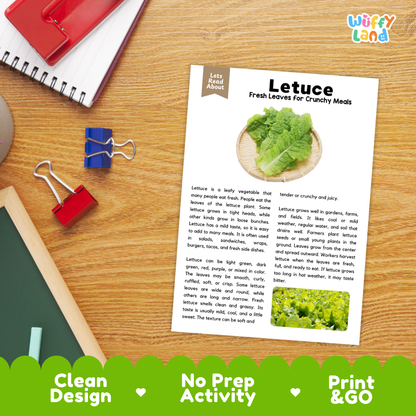 Student reading comprehension worksheet with short-answer questions and lined sections about lettuce vegetables