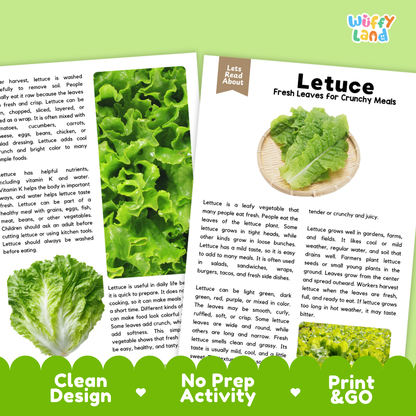 Teacher answer key page showing complete question solutions for lettuce reading comprehension practice