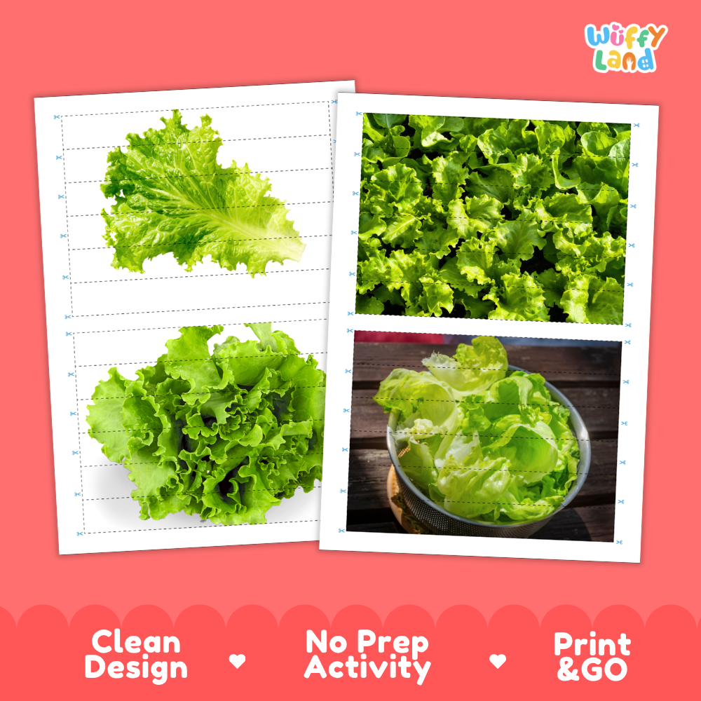 Printable activity sheets featuring photographic lettuce puzzle boards and cutting guides