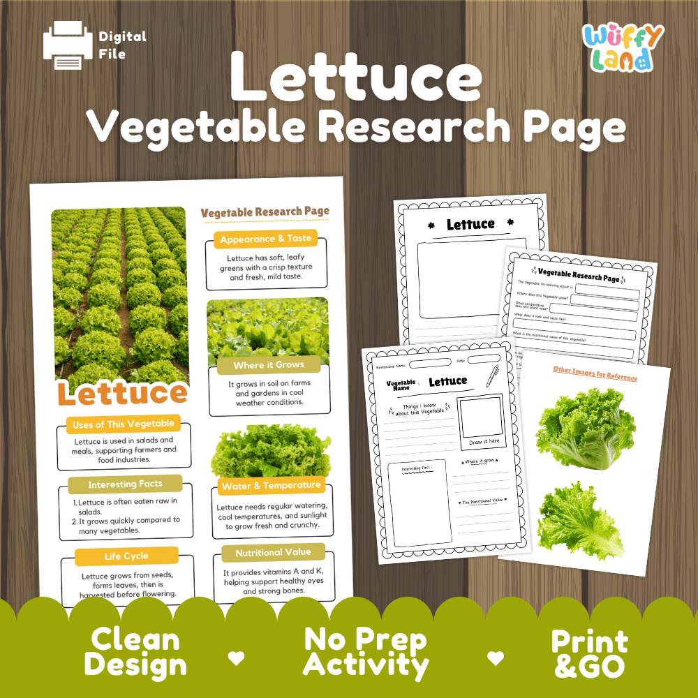 Lettuce Vegetable Research Page Worksheets and Fact Sheet
