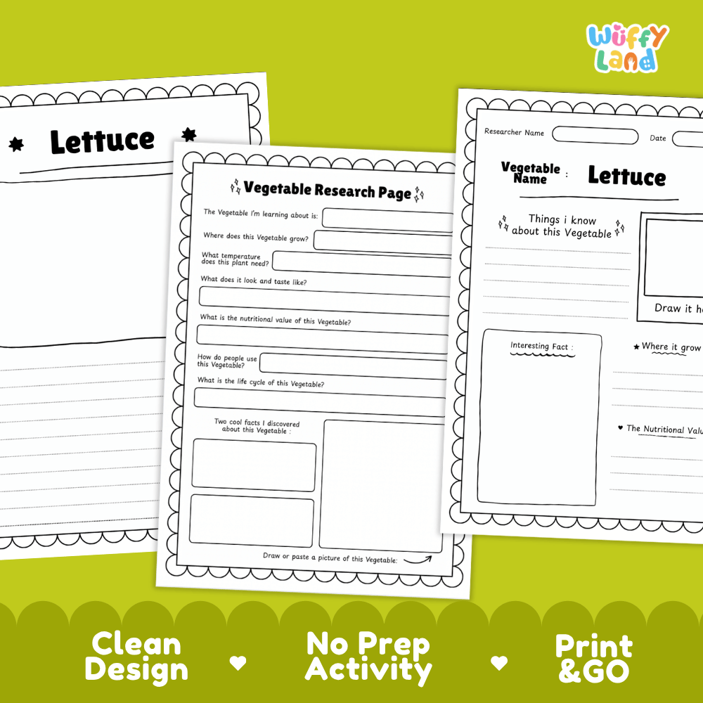 Lettuce Vegetable Research Page Worksheets and Fact Sheet