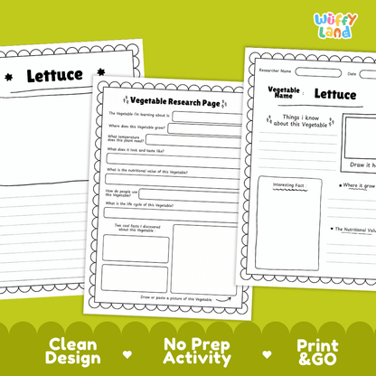 Lettuce Vegetable Research Page Worksheets and Fact Sheet