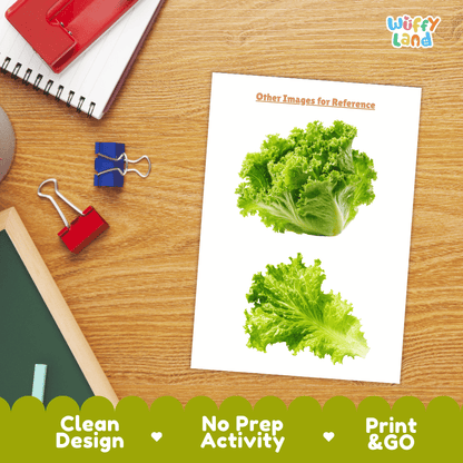 Lettuce Vegetable Research Page Worksheets and Fact Sheet