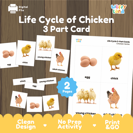 Life cycle of chicken 3 part cards printable Montessori biology activity pack overview from Wuffy Land featuring real photography cards 🐣🐔