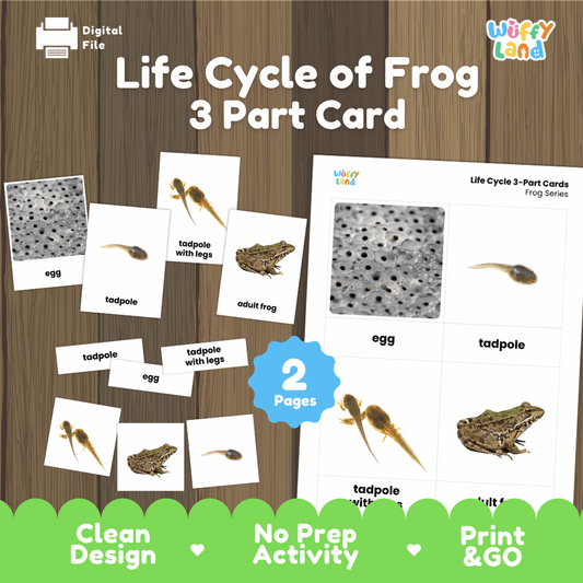 Life cycle of frog 3 part cards printable Montessori biology activity pack overview from Wuffy Land featuring real photography cards 🐸✨