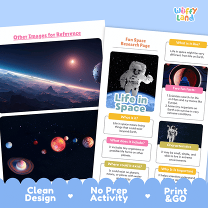 Life in Space Solar System Research Project Worksheets and Fact Sheet
