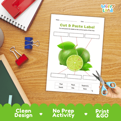Printable plant biology worksheet showing whole and sliced fresh green limes with blank labeling boxes and a vocabulary word bank for writing practice