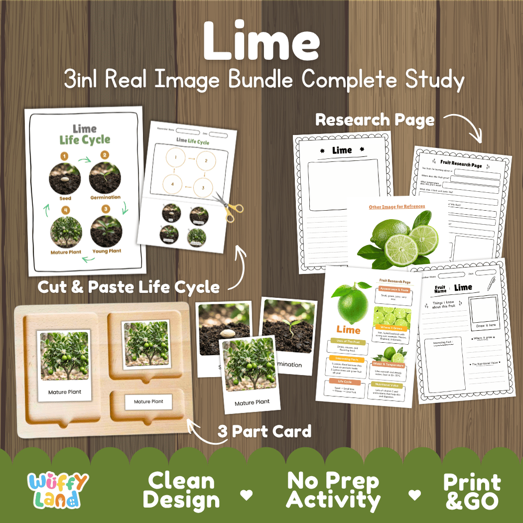 Complete Lime 3-in-1 real image study bundle featuring cut and paste worksheets, Montessori 3-part cards, and research pages 🍋🌱
