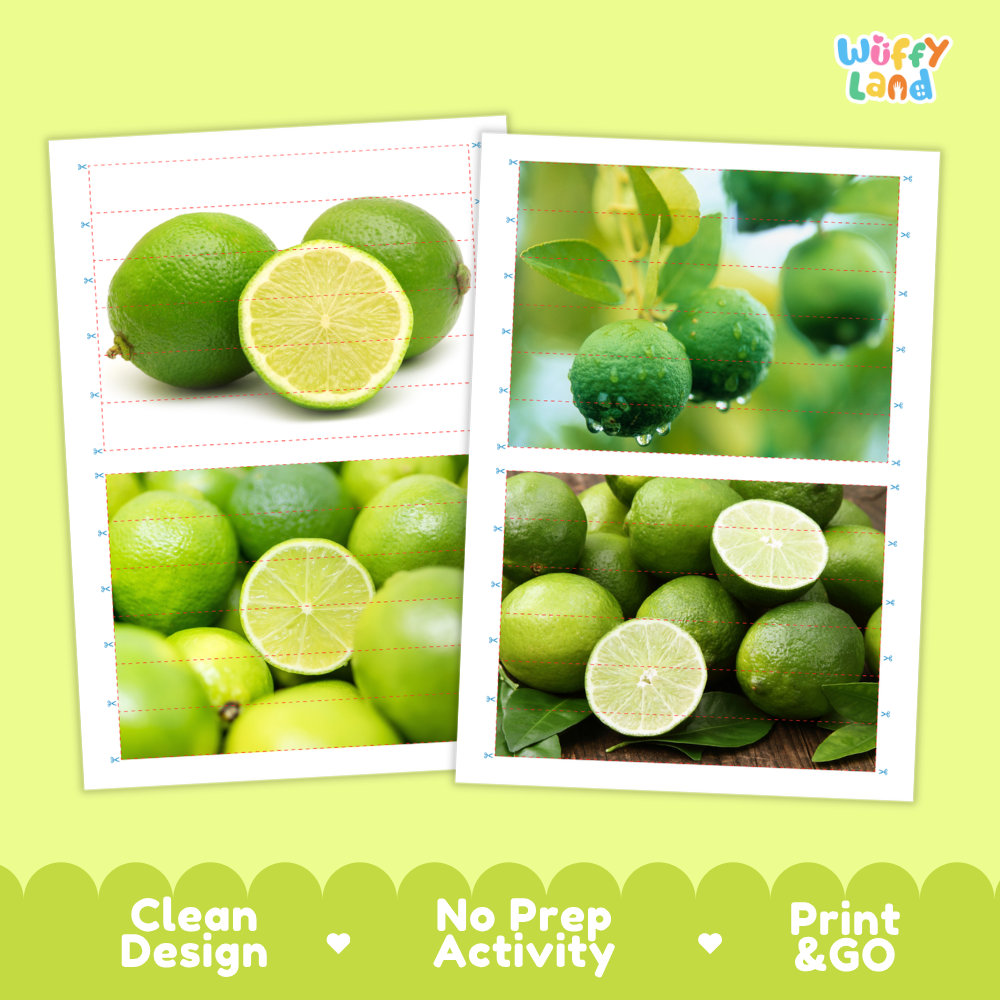 Printable activity sheets featuring photographic lime puzzle boards and cutting guides