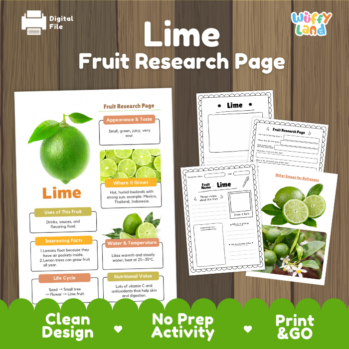 Lime Fruit Research Page Worksheets Plant Science Activity