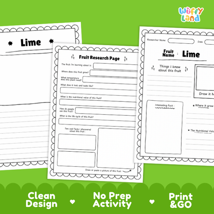 Lime Fruit Research Page Worksheets Plant Science Activity