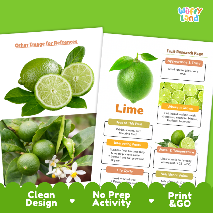 Lime Fruit Research Page Worksheets Plant Science Activity