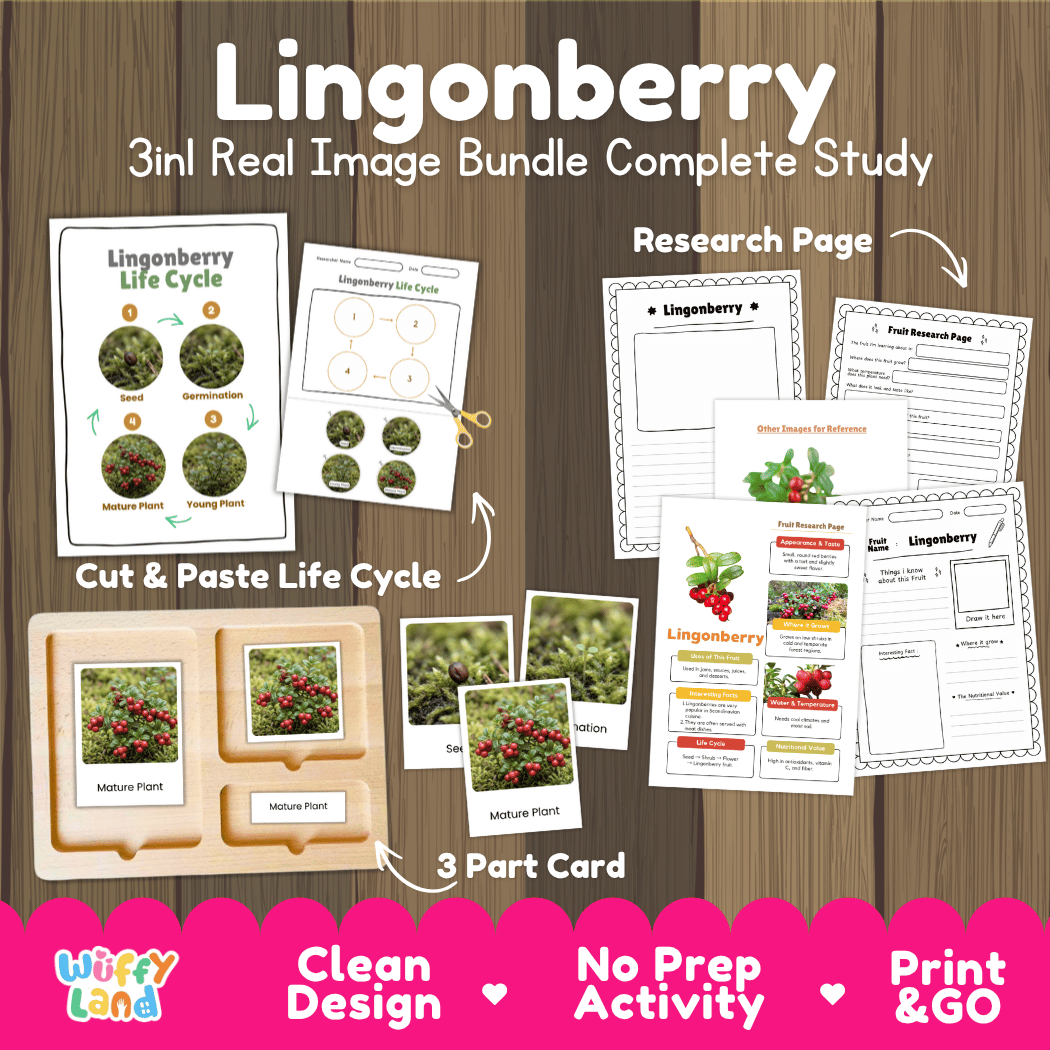 Complete Lingonberry 3-in-1 real image study bundle featuring cut and paste worksheets, Montessori 3-part cards, and research pages 🍒🌱