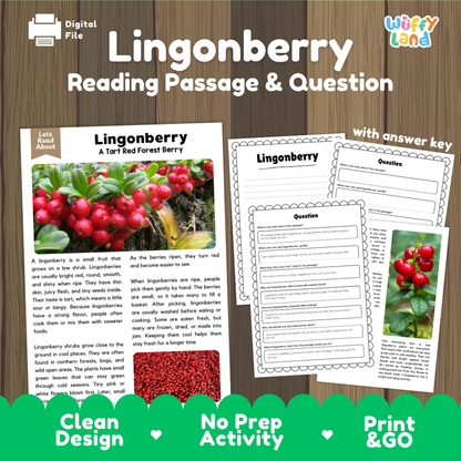 Lingonberry reading comprehension passage and questions printable activity pack with answer key for elementary students