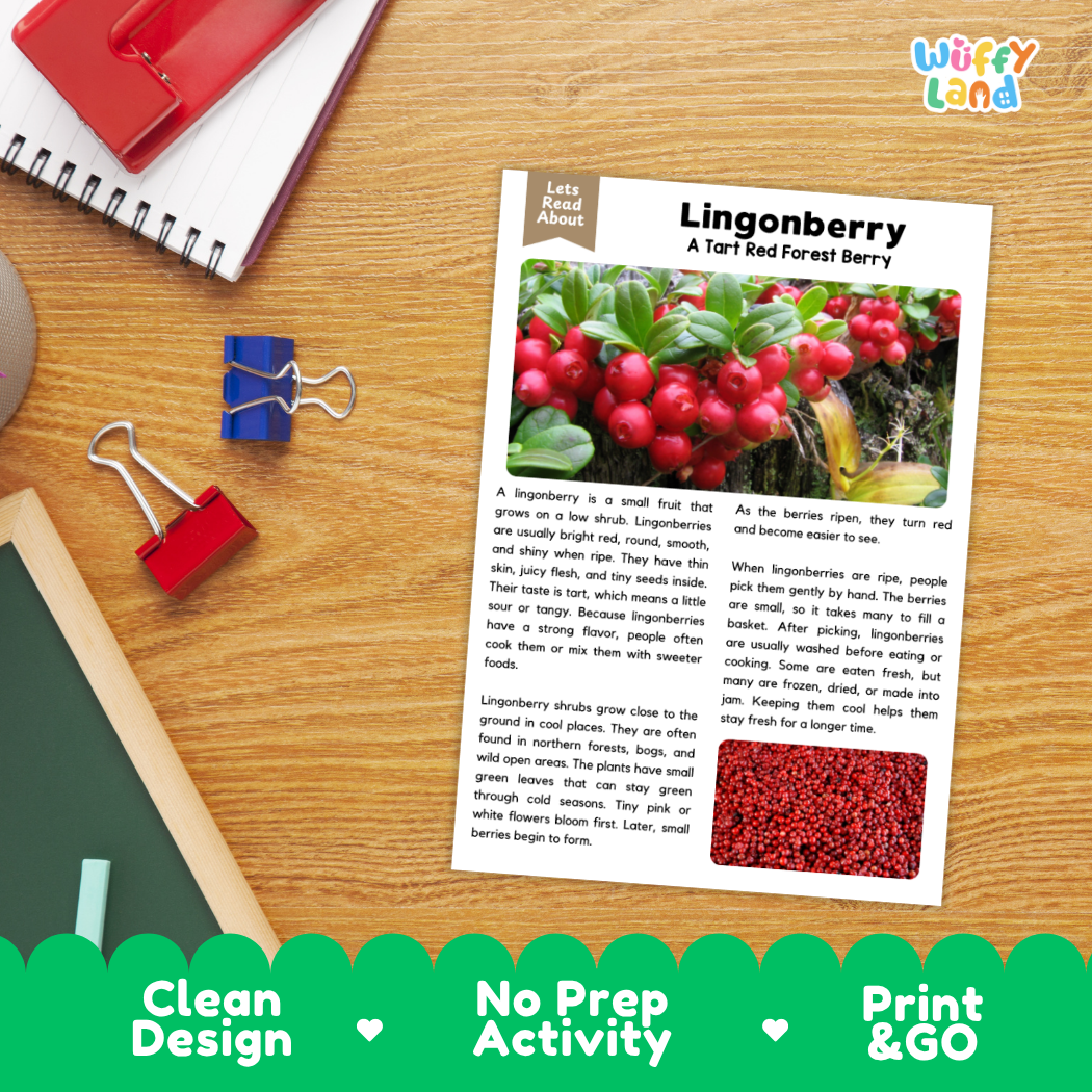 Student reading comprehension worksheet with short-answer questions and lined sections about lingonberries