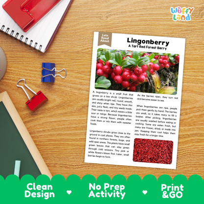 Student reading comprehension worksheet with short-answer questions and lined sections about lingonberries