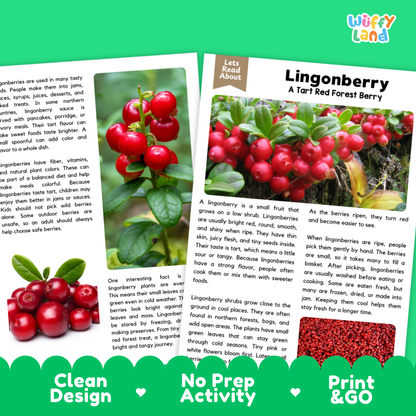 Teacher answer key page showing complete question solutions for lingonberry reading comprehension practice