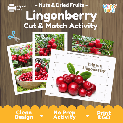 Lingonberry Cut and Match Activity Worksheets | Nuts and Dried Fruits Puzzle Printables