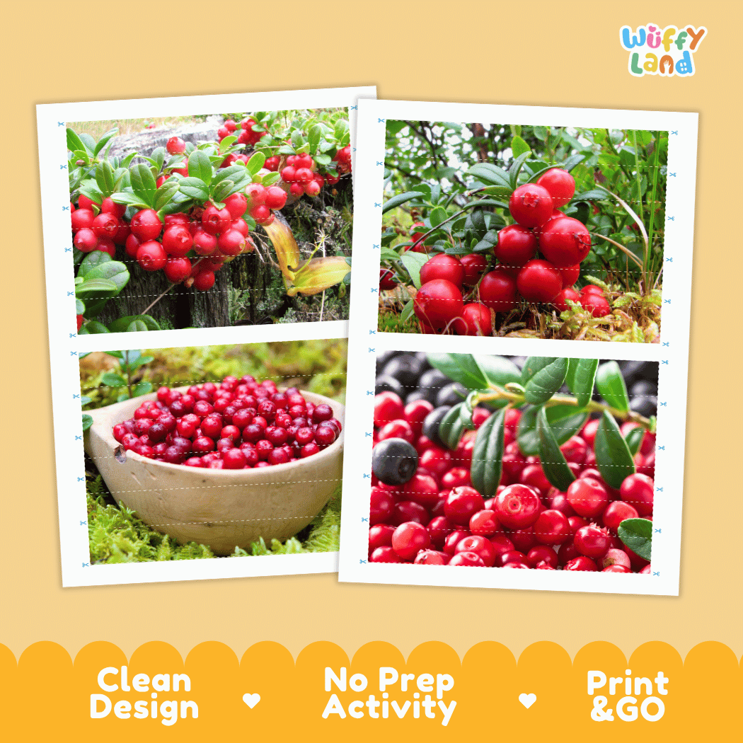 Lingonberry Cut and Match Activity Worksheets | Nuts and Dried Fruits Puzzle Printables